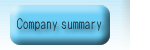 Company summary